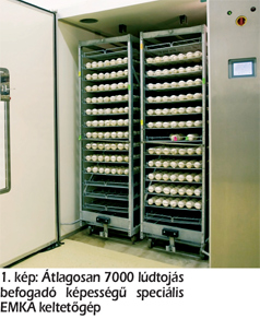 víziszárnyas keltetése
