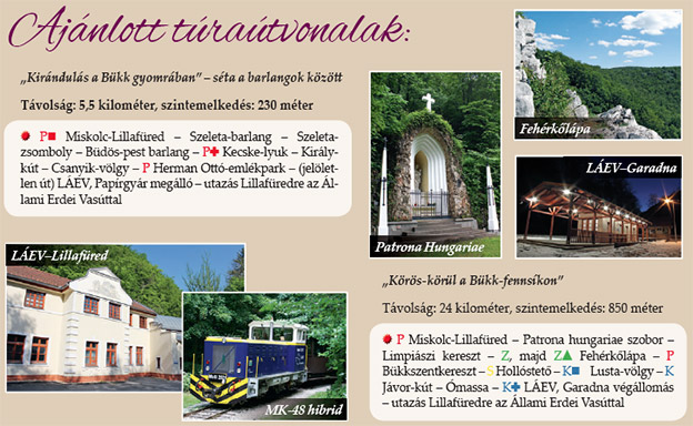 Barangolás a végtelen erdők vidékén Barangolás a végtelen erdők vidékén