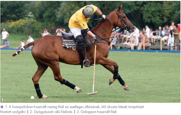 Fáslizni vagy nem fáslizni? Fáslizni vagy nem fáslizni?