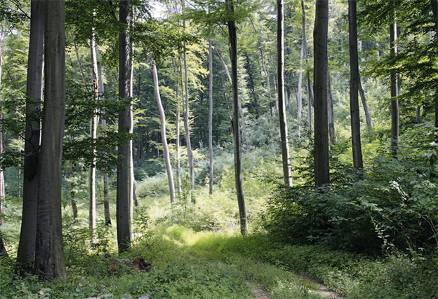 Megtalálják a feladatok Megtalálják a feladatok