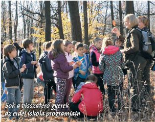 Sok a visszatérő gyerek az erdei iskola programjain Sok a visszatérő gyerek az erdei iskola programjain