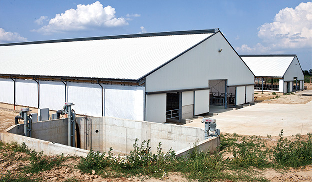 Az istállóépítés buktatói Az istállóépítés buktatói