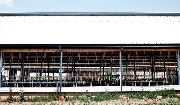 Az istállóépítés buktatói Az istállóépítés buktatói