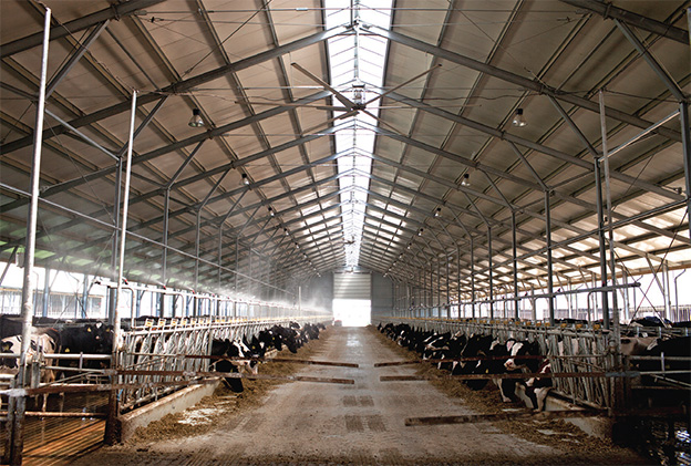 Az istállóépítés buktatói Az istállóépítés buktatói