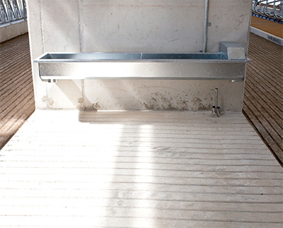 Az istállóépítés buktatói Az istállóépítés buktatói