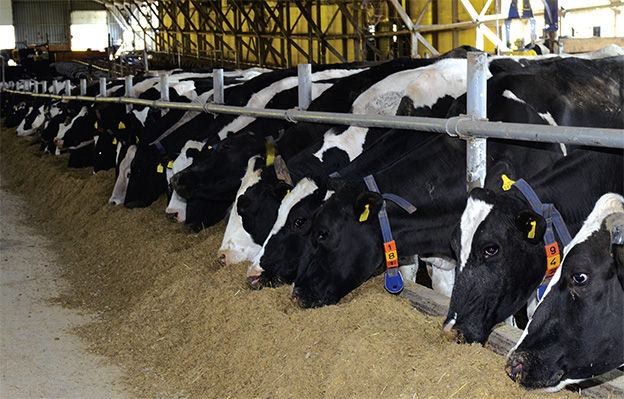 Precíziós takarmányozási megoldások az Adexgo Kft.-től Precíziós takarmányozási megoldások az Adexgo Kft.-től