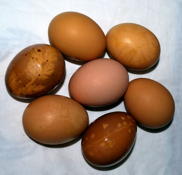 Kipróbáltuk: kurkuma és cékla mint tojásfesték Kipróbáltuk: kurkuma és cékla mint tojásfesték