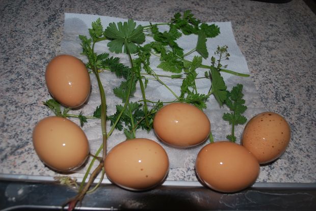 Kipróbáltuk: kurkuma és cékla mint tojásfesték Kipróbáltuk: kurkuma és cékla mint tojásfesték