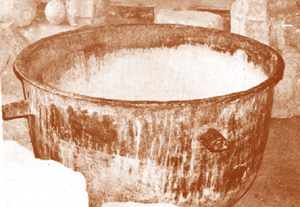 Az erdőátalakítások történelmi okai, irányai