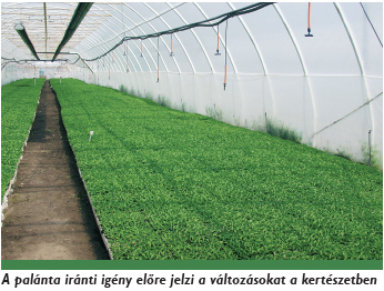 A palánta iránti igény előre jelzi a változásokat a kertészetben