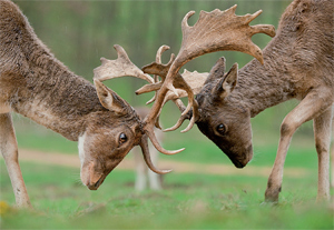 Ahol összefonódik a múlt és a jelen