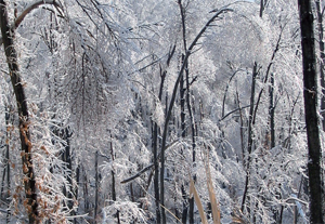 Biztos, hogy káros?