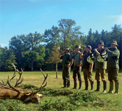 „Somogyország” zöld szíve