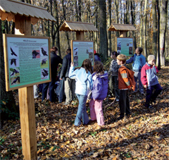 „Somogyország” zöld szíve
