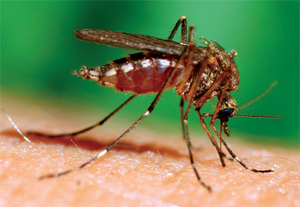 Ha mégis megtörtént