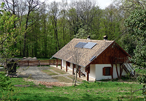 Tolnai ökotúra, avagy a szarvasbogártól a napelemig