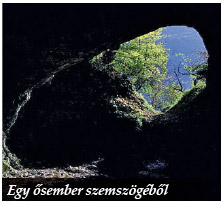 Barangolás a végtelen erdők vidékén