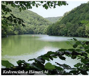 Barangolás a végtelen erdők vidékén