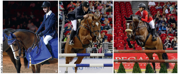 Egyedülálló verseny Papp László Budapest Sportaréna, CSI**