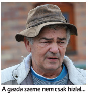 Harminc tehéntől hatszáz utód – Embriókihelyezés