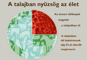 Talaj - Tudás - Technológia konferencia  -  2015. Talajok Nemzetközi Éve