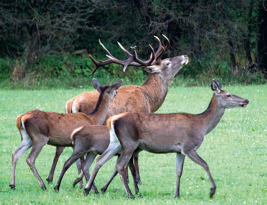 Fotó: Simon Bernadett és Molnár István