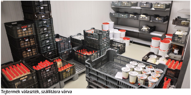 Tejtermék választék, szállításra várva