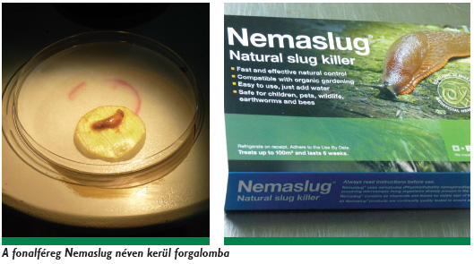 A fonalféreg Nemaslug néven kerül forgalomba