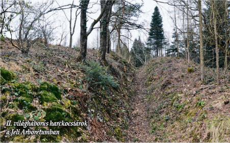 II. világháborús harckocsiárok a Jeli Arborétumban