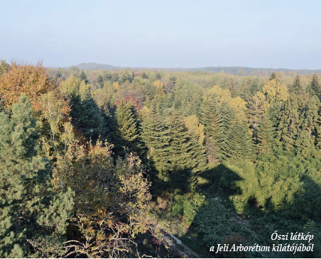 Őszi látkép a Jeli Arborétum kilátójából