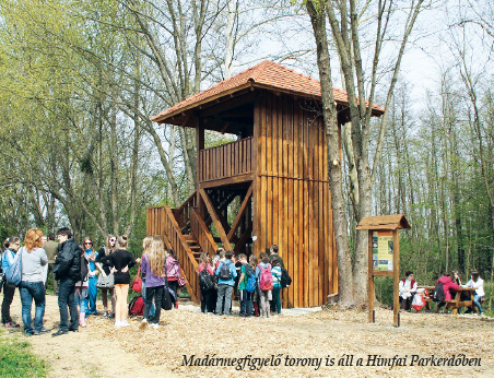 Madármegfigyelő torony is áll a Himfai Parkerdőben