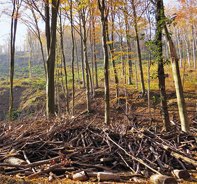 Egy évvel a jégtörés után