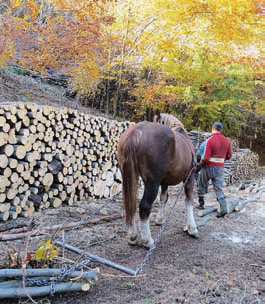 Egy évvel a jégtörés után