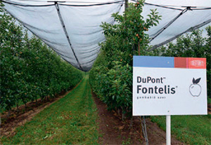 Fókuszban az egészséges alma! DuPont™ Fontelis® gombaölő szer