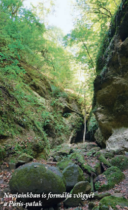 Napjainkban is formálja völgyét a Páris-patak
