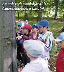 Az erdészek munkájával is ismerkedhetnek a tanulók
