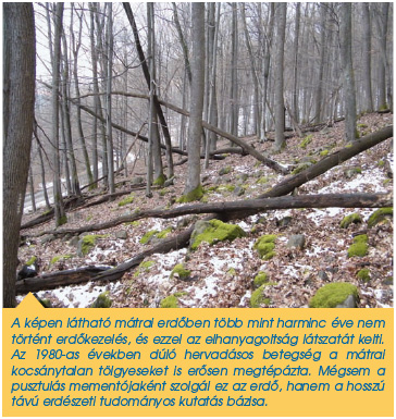 Rendeltetés szerint