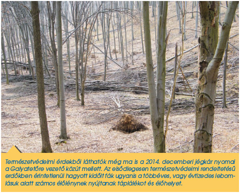 Rendeltetés szerint