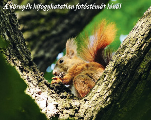 A környék kifogyhatatlan fotóstémát kínál