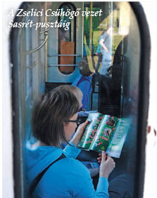 A Zselici Csühögő vezet Sasrét-pusztáig