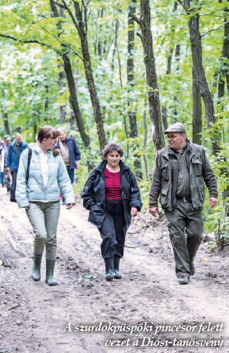 A szurdokpüspöki pincesor felett vezet a Diósi-tanösvény