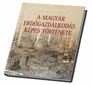 Jubileumi képes album