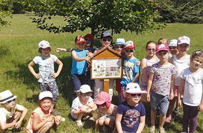 Az Év Fája tanösvényen