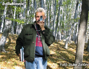 Erdőleltározás - Fotó: Stuller Zoltán