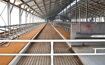 Az istállóépítés buktatói