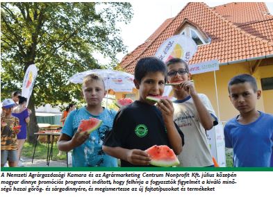 „Koordinációs feladatot is kaptunk”