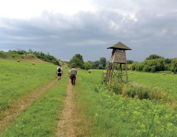 Akinek igazán színes a világ
