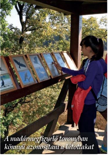 Élménytanulás Gemencen