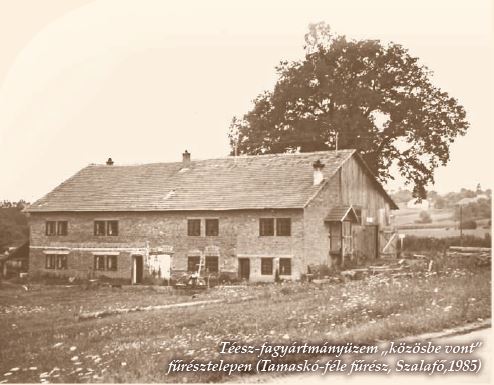Termelőszövetkezeti erdők