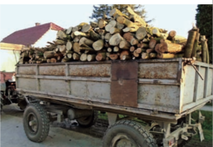 Tűzifa tájékoztatóval